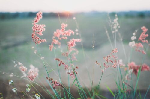 8 Common Habits of Anxious People