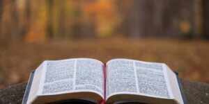 Biblical Wisdom for Personal Growth Goals 1