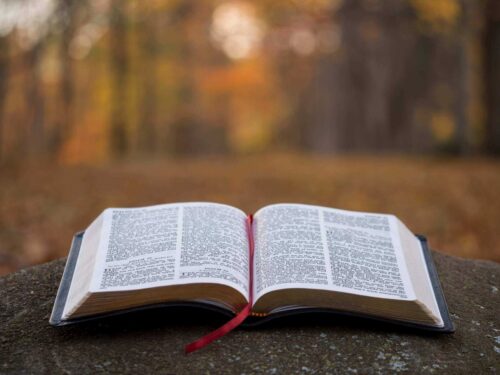 Biblical Wisdom for Personal Growth Goals 1