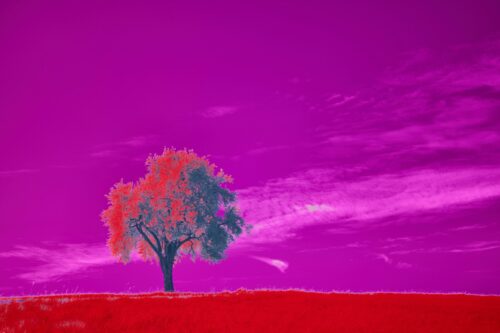 7 Ways That Childhood Trauma Can Appear in Your Adult Life 1