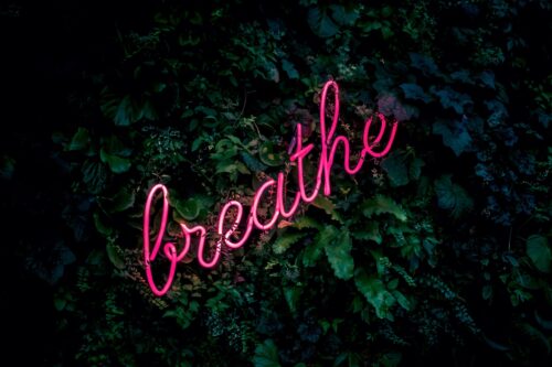 Daily Coping Mechanisms for Stress You Can Start Right Now 2