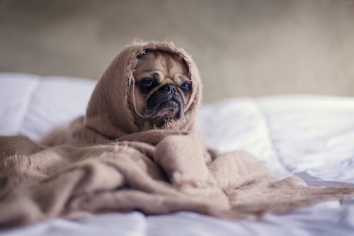 Daily Coping Mechanisms for Stress You Can Start Right Now