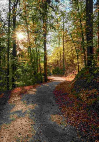 Freeing Ourselves from the Effects of Trauma