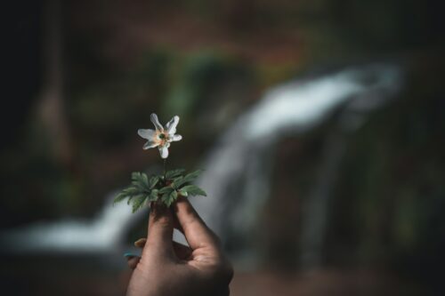 How Self-Compassion Can Help With Depression 3