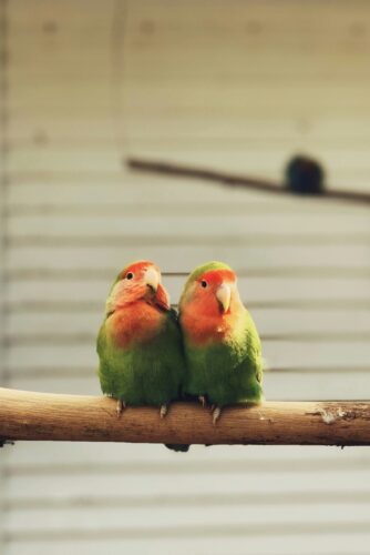 How to Avoid Creating Abandonment Issues in Relationships 3