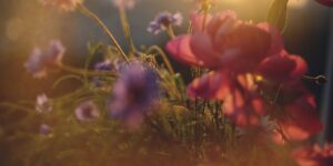Common Childhood Experiences that Can Cause Emotional Trauma 1