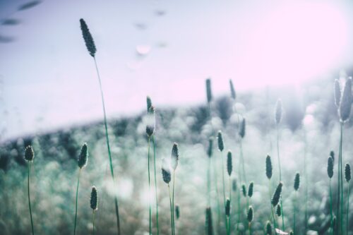 “I Am Angry!” What Your Anger Is Saying, and How to Deal with It 3