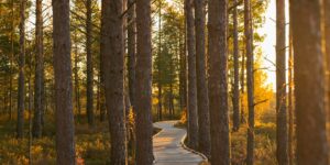 Self-Reflection and Spiritual Maturity: A Pathway to Inner Growth 4