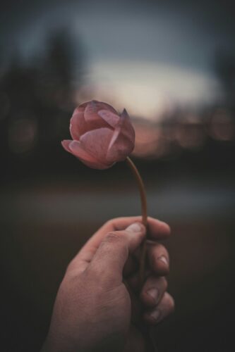 Why Family Rifts Happen 1