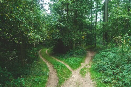 5 Reasons Not to Fear Death 1