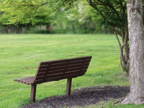 Facing Anticipatory Grief 2
