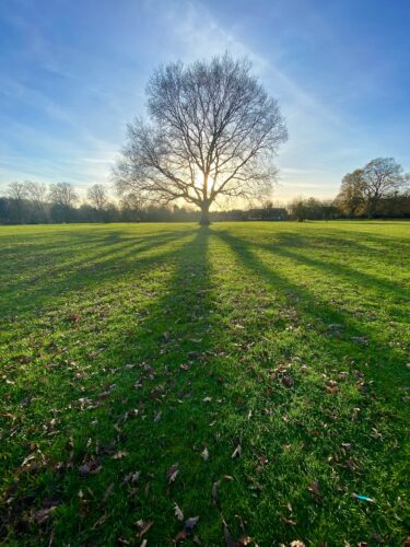 Regaining Hope after Disillusionment 2