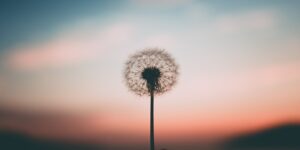 Regaining Hope after Disillusionment 3