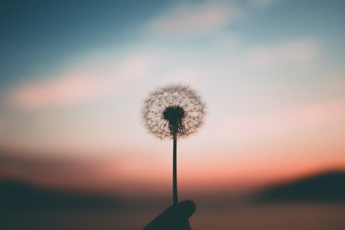 Regaining Hope after Disillusionment