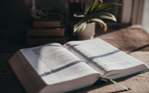 header-image