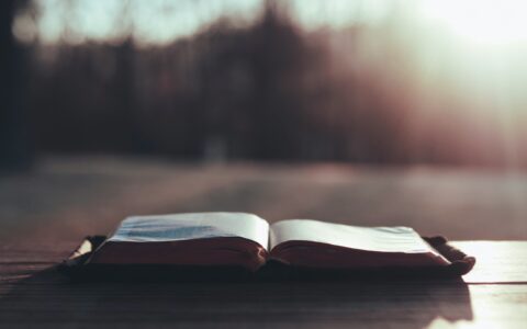 header-image